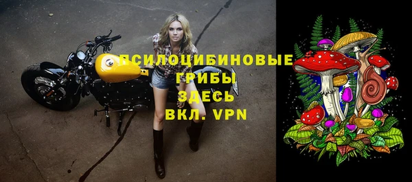 PSILOCYBIN Белоозёрский