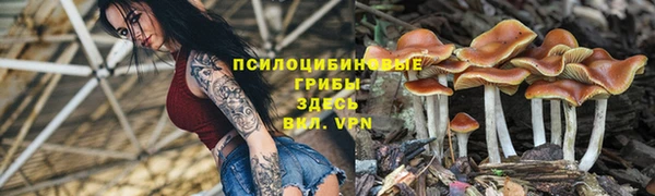 PSILOCYBIN Белоозёрский