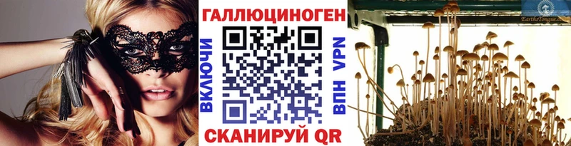Псилоцибиновые грибы MAGIC MUSHROOMS  наркошоп  ссылка на мегу вход  Светогорск 
